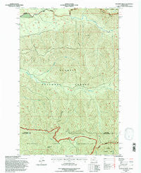 Matheny Ridge Washington Historical topographic map, 1:24000 scale, 7.5 X 7.5 Minute, Year 1995