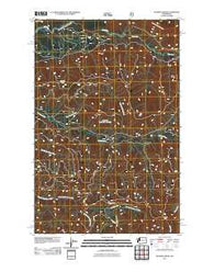 Matheny Ridge Washington Historical topographic map, 1:24000 scale, 7.5 X 7.5 Minute, Year 2011