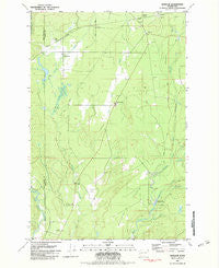 Matlock Washington Historical topographic map, 1:24000 scale, 7.5 X 7.5 Minute, Year 1981