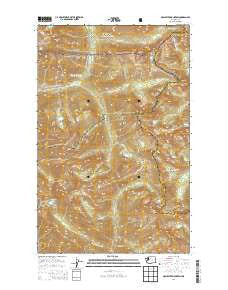 McAlester Mountain Washington Current topographic map, 1:24000 scale, 7.5 X 7.5 Minute, Year 2014