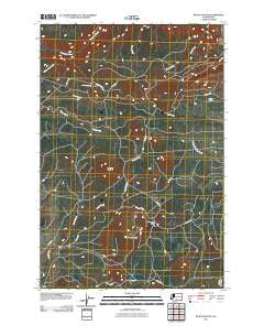 McKays Butte Washington Historical topographic map, 1:24000 scale, 7.5 X 7.5 Minute, Year 2011
