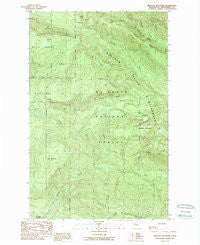 Meadow Mountain Washington Historical topographic map, 1:24000 scale, 7.5 X 7.5 Minute, Year 1989