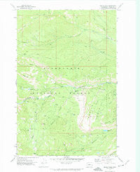 Meeks Table Washington Historical topographic map, 1:24000 scale, 7.5 X 7.5 Minute, Year 1971
