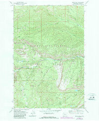 Meeks Table Washington Historical topographic map, 1:24000 scale, 7.5 X 7.5 Minute, Year 1971