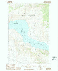 Mica Mountain Washington Historical topographic map, 1:24000 scale, 7.5 X 7.5 Minute, Year 1989