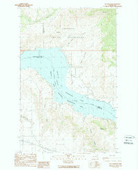 Mica Mountain Washington Historical topographic map, 1:24000 scale, 7.5 X 7.5 Minute, Year 1989
