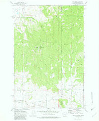 Mica Peak Washington Historical topographic map, 1:24000 scale, 7.5 X 7.5 Minute, Year 1973