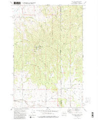 Mica Peak Washington Historical topographic map, 1:24000 scale, 7.5 X 7.5 Minute, Year 1973