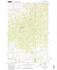 Mica Peak Washington Historical topographic map, 1:24000 scale, 7.5 X 7.5 Minute, Year 1973