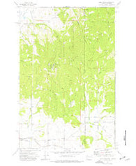 Mica Peak Washington Historical topographic map, 1:24000 scale, 7.5 X 7.5 Minute, Year 1973