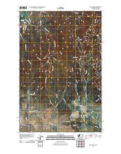 Mica Peak Washington Historical topographic map, 1:24000 scale, 7.5 X 7.5 Minute, Year 2011