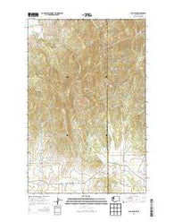 Mica Peak Washington Current topographic map, 1:24000 scale, 7.5 X 7.5 Minute, Year 2014