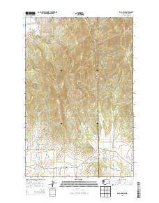 Mica Peak Washington Current topographic map, 1:24000 scale, 7.5 X 7.5 Minute, Year 2014