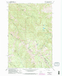 Mission Peak Washington Historical topographic map, 1:24000 scale, 7.5 X 7.5 Minute, Year 1966
