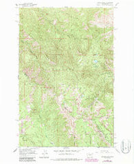 Mission Peak Washington Historical topographic map, 1:24000 scale, 7.5 X 7.5 Minute, Year 1966