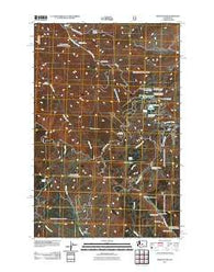 Mission Peak Washington Historical topographic map, 1:24000 scale, 7.5 X 7.5 Minute, Year 2011