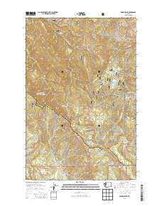 Mission Peak Washington Current topographic map, 1:24000 scale, 7.5 X 7.5 Minute, Year 2014