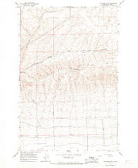 Monument Hill Washington Historical topographic map, 1:24000 scale, 7.5 X 7.5 Minute, Year 1966