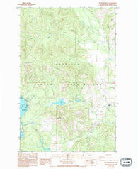 Moon Mountain Washington Historical topographic map, 1:24000 scale, 7.5 X 7.5 Minute, Year 1985