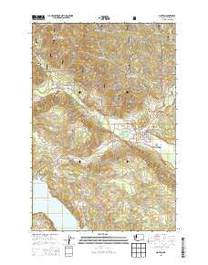Morton Washington Current topographic map, 1:24000 scale, 7.5 X 7.5 Minute, Year 2013