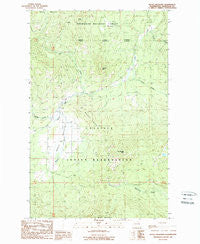 Moses Meadows Washington Historical topographic map, 1:24000 scale, 7.5 X 7.5 Minute, Year 1989