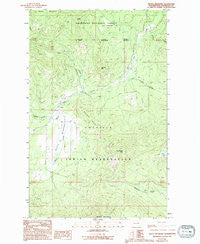 Moses Meadows Washington Historical topographic map, 1:24000 scale, 7.5 X 7.5 Minute, Year 1989