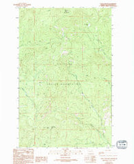 Moses Meadows Washington Historical topographic map, 1:24000 scale, 7.5 X 7.5 Minute, Year 1989