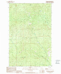 Moses Mountain Washington Historical topographic map, 1:24000 scale, 7.5 X 7.5 Minute, Year 1989
