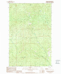 Moses Mountain Washington Historical topographic map, 1:24000 scale, 7.5 X 7.5 Minute, Year 1989