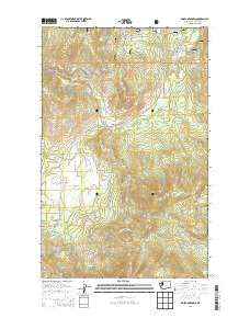 Moses Meadows Washington Current topographic map, 1:24000 scale, 7.5 X 7.5 Minute, Year 2014