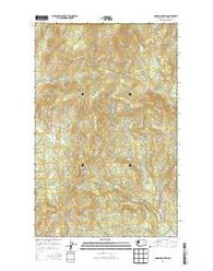 Moses Mountain Washington Current topographic map, 1:24000 scale, 7.5 X 7.5 Minute, Year 2014