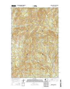 Moses Mountain Washington Current topographic map, 1:24000 scale, 7.5 X 7.5 Minute, Year 2014