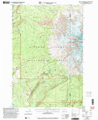 Mount Adams West Washington Historical topographic map, 1:24000 scale, 7.5 X 7.5 Minute, Year 1998