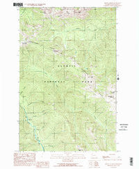 Mount Angeles Washington Historical topographic map, 1:24000 scale, 7.5 X 7.5 Minute, Year 1990