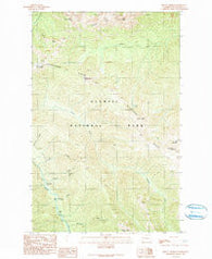 Mount Angeles Washington Historical topographic map, 1:24000 scale, 7.5 X 7.5 Minute, Year 1990