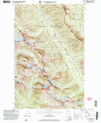 Mount Arriva Washington Historical topographic map, 1:24000 scale, 7.5 X 7.5 Minute, Year 2002