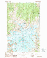 Mount Baker Washington Historical topographic map, 1:24000 scale, 7.5 X 7.5 Minute, Year 1989