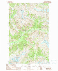 Mount Blum Washington Historical topographic map, 1:24000 scale, 7.5 X 7.5 Minute, Year 1989