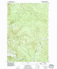 Mount Brynion Washington Historical topographic map, 1:24000 scale, 7.5 X 7.5 Minute, Year 1990