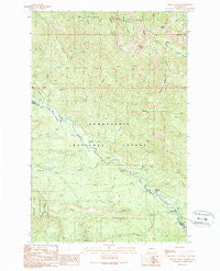 Mount Christie Washington Historical topographic map, 1:24000 scale, 7.5 X 7.5 Minute, Year 1989