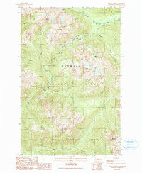 Mount Christie Washington Historical topographic map, 1:24000 scale, 7.5 X 7.5 Minute, Year 1990