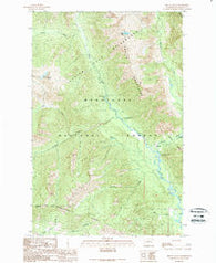 Mount David Washington Historical topographic map, 1:24000 scale, 7.5 X 7.5 Minute, Year 1989