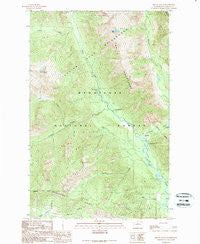 Mount David Washington Historical topographic map, 1:24000 scale, 7.5 X 7.5 Minute, Year 1989