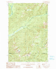 Mount Hoquiam Washington Historical topographic map, 1:24000 scale, 7.5 X 7.5 Minute, Year 1990