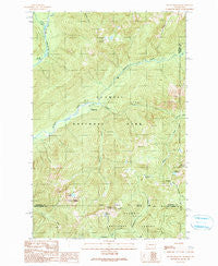 Mount Hoquiam Washington Historical topographic map, 1:24000 scale, 7.5 X 7.5 Minute, Year 1990