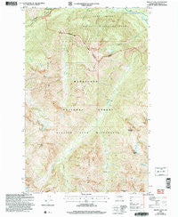 Mount Lyall Washington Historical topographic map, 1:24000 scale, 7.5 X 7.5 Minute, Year 2004