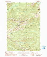 Mount Olson Washington Historical topographic map, 1:24000 scale, 7.5 X 7.5 Minute, Year 1990