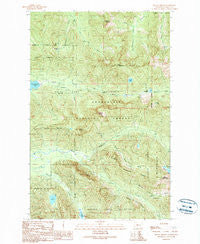 Mount Phelps Washington Historical topographic map, 1:24000 scale, 7.5 X 7.5 Minute, Year 1989