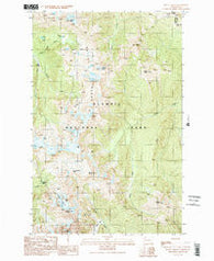 Mount Queets Washington Historical topographic map, 1:24000 scale, 7.5 X 7.5 Minute, Year 1990