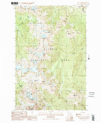 Mount Queets Washington Historical topographic map, 1:24000 scale, 7.5 X 7.5 Minute, Year 1990